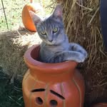 Mary Speaks - @maryspeaks102802 - Instagram