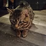 Mary Spearman - @maryspearman517 - Instagram