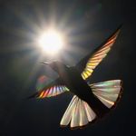 Mary Spearman - @33marebear - Instagram