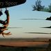 Mary Speer's Photography - Facebook