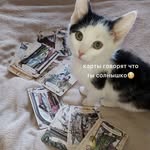 Мэри о мире - @maryspellsu - Instagram