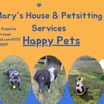 Pet & House sitting - @maryspethousesitting832 - Instagram