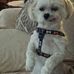 Mary Spiess - Facebook