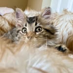 BrinermarMum - @maryspieth - Instagram