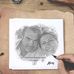 Mery Spiga - Facebook