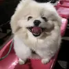 Mary Spiller - @maryspiller477 - TikTok