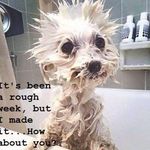 Mary Spitler - @spitler9474 - Instagram
