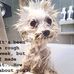 Mary Spitler - Facebook