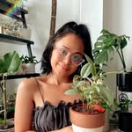 Marys Plant Kingdom - @marysplantkingdom - Instagram