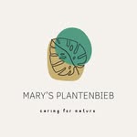 Mary's Plantenbieb - @marysplantenbieb - Instagram