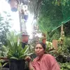 marysplant - @marysplant - TikTok