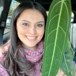MarysPlants - @maryjsplants - Instagram