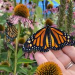 Mary Pow - @maryspoonandcherry - Instagram