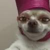 Mariy spranger - @mariy.spranger - TikTok