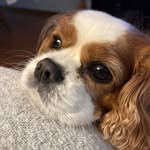 Mary Springman-Burns - @marymilford - Instagram