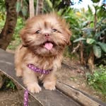 Mary Stack - @mrs.stack17 - Instagram