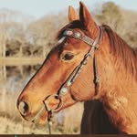 Mary's Tack & Feed - @marystackshop.ontheranch - Instagram