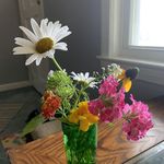 Marie Stainbrook Seufert - @peanut0917 - Instagram