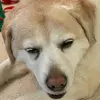 Mary Stanforth - @mary.stanforth8 - TikTok