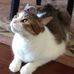 Mary Stanko - Facebook