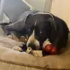 Mary Staszak896 - @marystaszak896 - TikTok