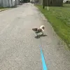 Marry State - @marry.state - TikTok