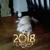 Mary Staub - @marystaub - TikTok