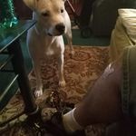 Mary Stclair - @marystclair449 - Instagram