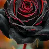 Mary Stead - @mary.stead2 - TikTok