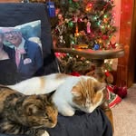 Mary Stech Lemmert - @mlemmert - Instagram
