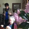 Mary C Steeves - @marycsteeves - TikTok
