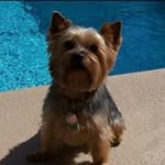Mary Stegman - @marystegman - Instagram