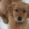 Mary Stehle - @mary.stehle - TikTok