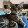 maryannstehlesell - @maryannstehlesell - TikTok