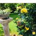 Maria Steinfeltz - Facebook