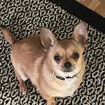 Mary Steinsultz-Jones - @msjones716 - Instagram
