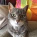 Mary Holmes Stelter - Facebook