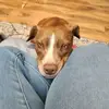 Mary Stemen Grulke - @mary.stemen.grulk - TikTok