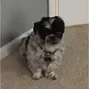 marystempien - @mary.stempien - TikTok