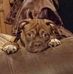Ulillia Mary-Jane Hodgson-Stemmer - Facebook