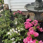Mary Stender - Facebook