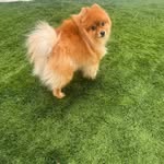 Steve Maria Steve - @mary___steve - Instagram