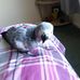 Mary Stimpson - Facebook