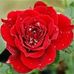 Mary Stinchcomb - Facebook
