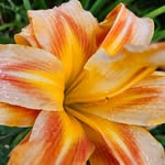Mary Stinchcomb - @stinchcombmary - Instagram