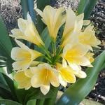 Mary Stinger - @m.stinger495 - Instagram
