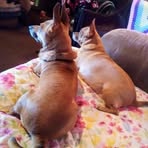 Mary Stoneking - Facebook