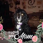 Mary Stough - @marymaclellanstough - Instagram