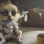 Mary Stow - @stowmary - Instagram