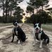 Mary Stow - Facebook